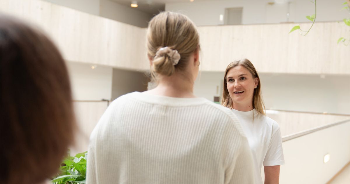Hallinnollista rauhaa rehtorin arkeen